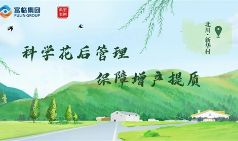 香港宝典宝典免费资料大全